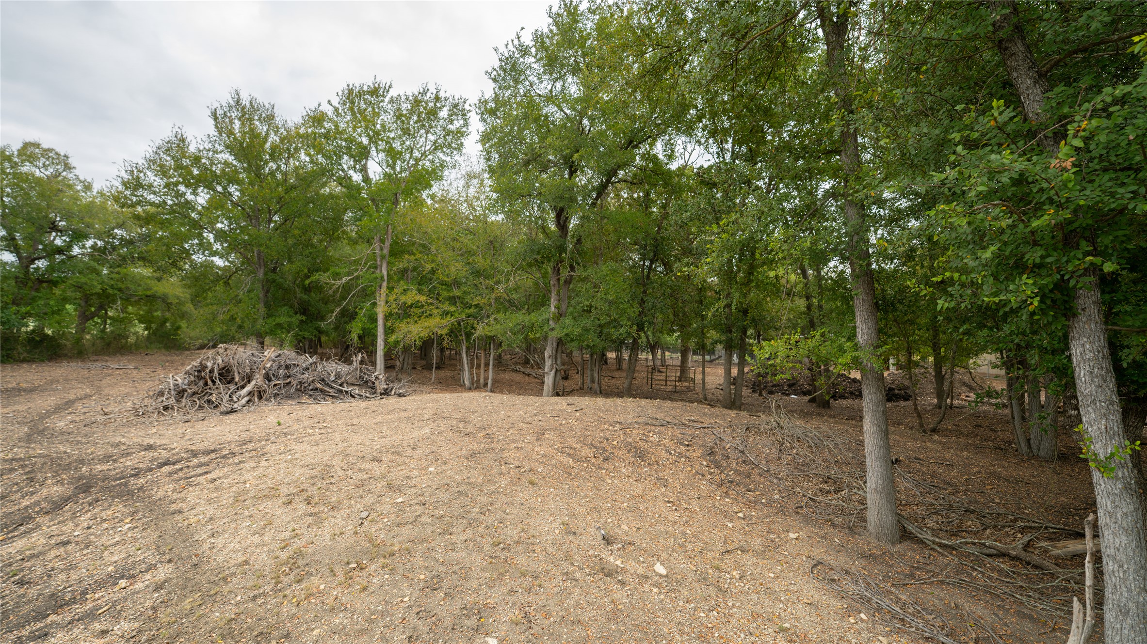 2348 County Road 404 Loop Bartlett, TX 76511 - Photo 25 of 40 View of yard