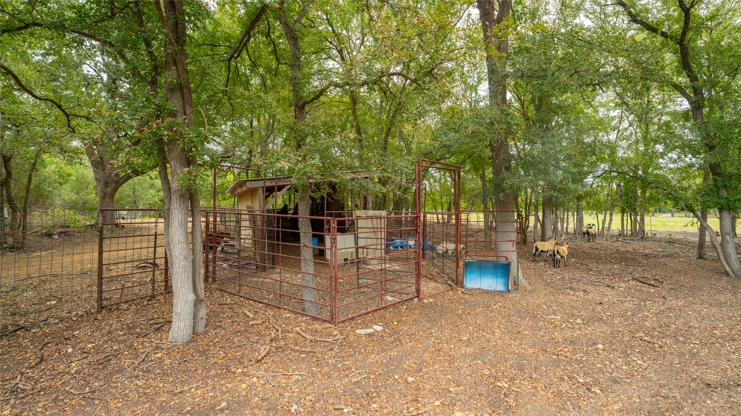 2348 County Road 404 Loop Bartlett, TX 76511 - Photo 31 of 40 View of playground featuring an outbuilding