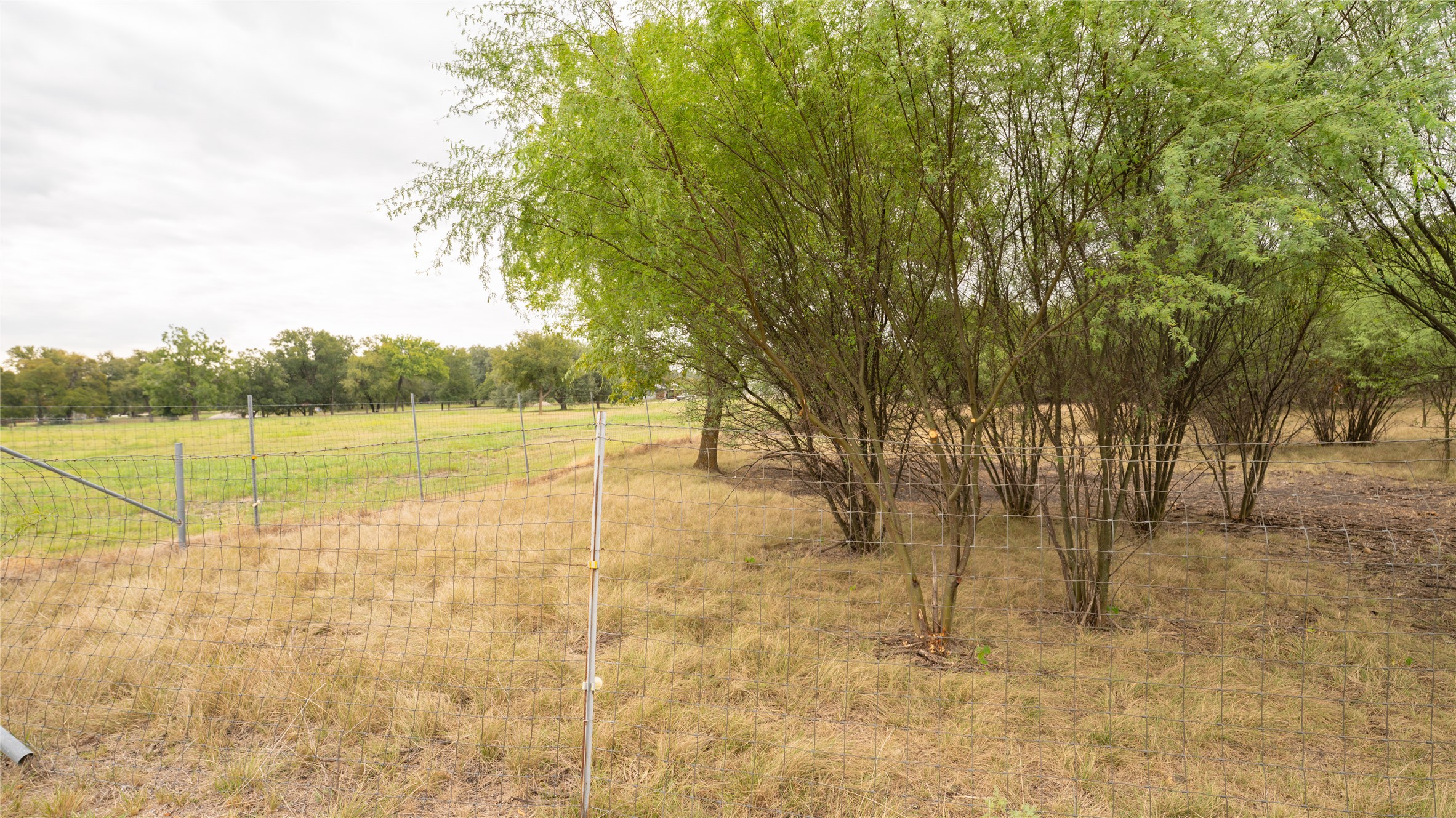 2348 County Road 404 Loop Bartlett, TX 76511 - Photo 7 of 40 View of yard featuring a rural view