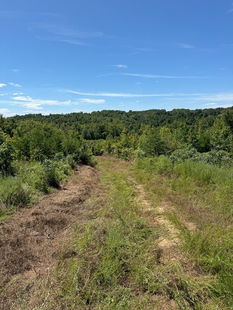 Lewis Ferrell Road South Boston, VA 24592 - Photo 22 of 36 Gallery Image 22