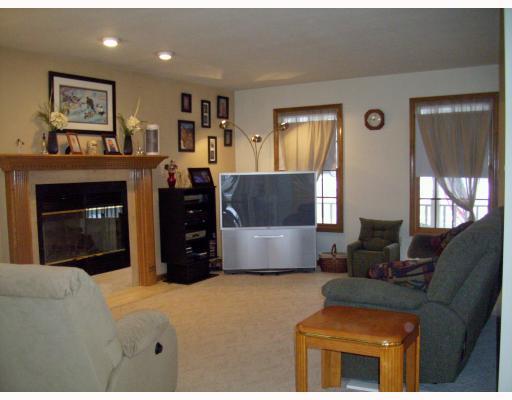 211 East Harbison Road Pittsburgh, PA 15205 - Photo 5 of 17 Den/Family/Great Room. Large Family Room with Log Burning Fireplace