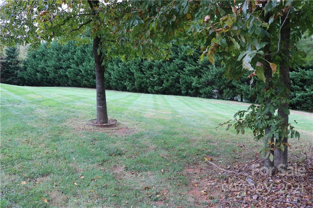 1776 Arbor Grove Church Road Purlear, NC 28665 - Photo 32 of 39 Gallery Image 32