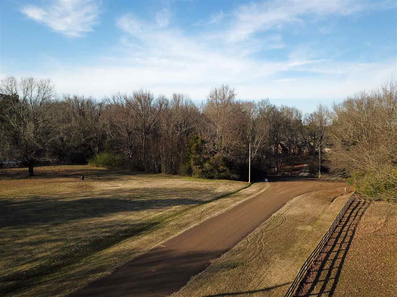 6401 Ricks Field Cove Arlington, TN 38002 - Photo 2 of 12 Gallery Image 2