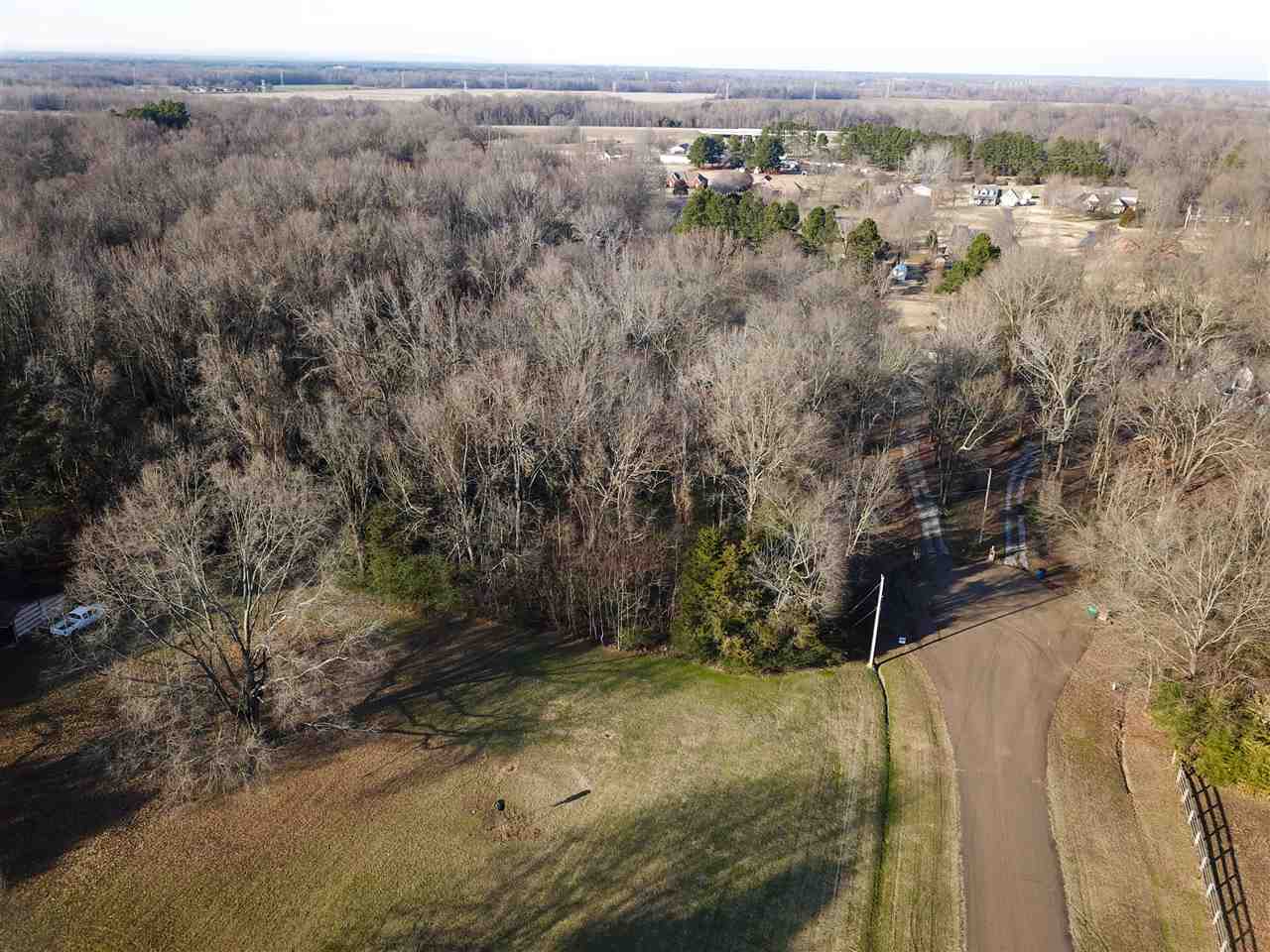 6401 Ricks Field Cove Arlington, TN 38002 - Photo 3 of 12 Gallery Image 3