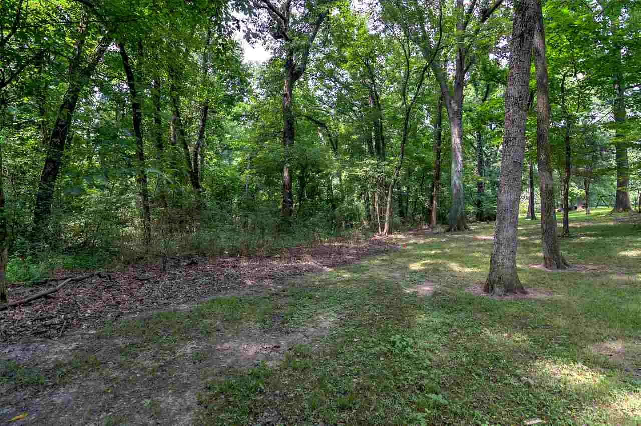 6401 Ricks Field Cove Arlington, TN 38002 - Photo 4 of 12 Gallery Image 4