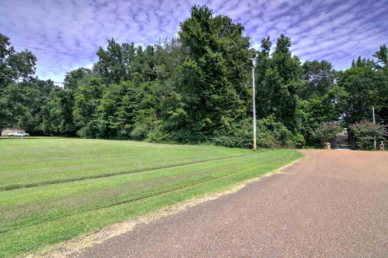 6401 Ricks Field Cove Arlington, TN 38002 - Photo 5 of 12 Gallery Image 5