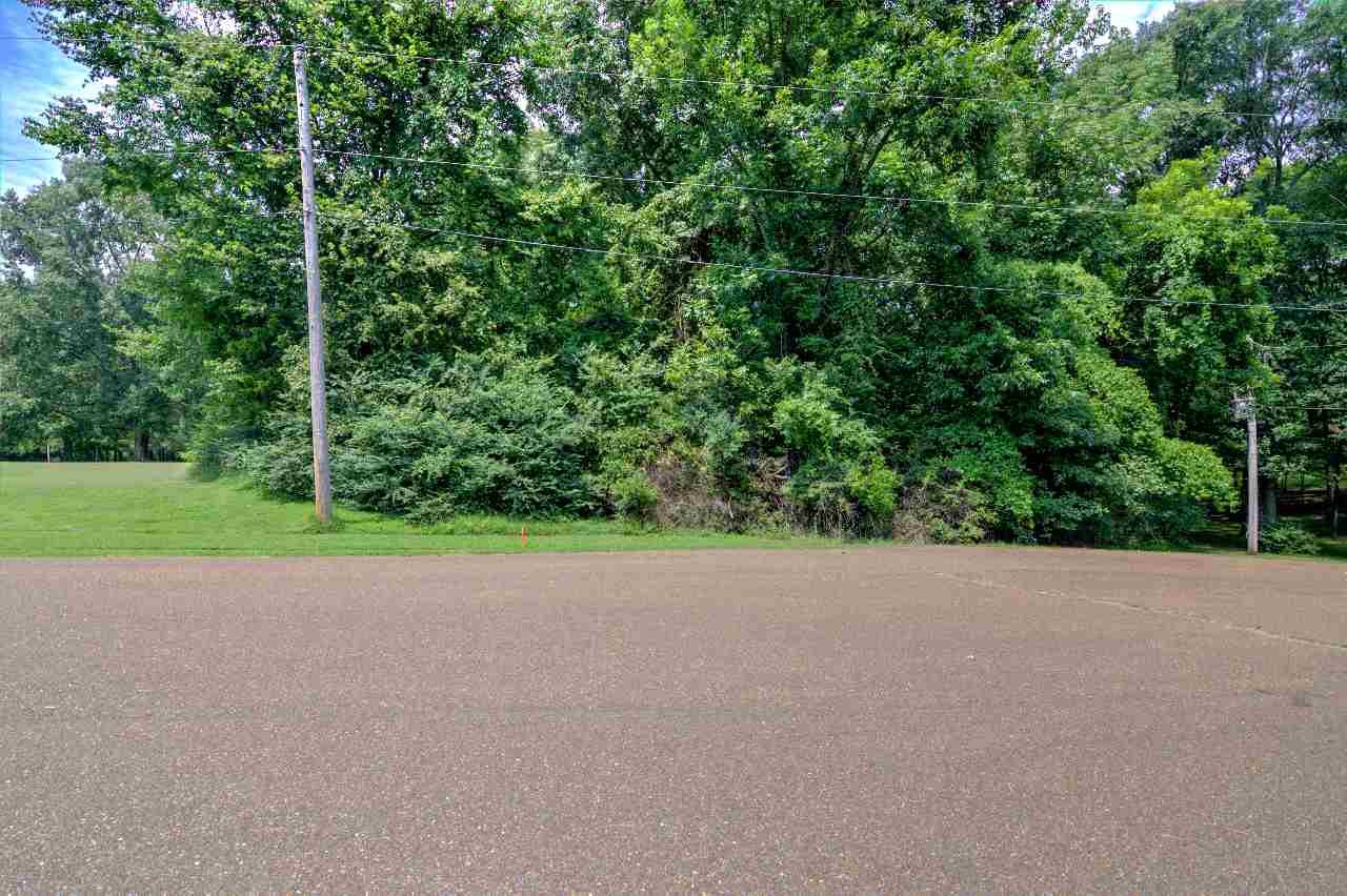 6401 Ricks Field Cove Arlington, TN 38002 - Photo 6 of 12 Gallery Image 6