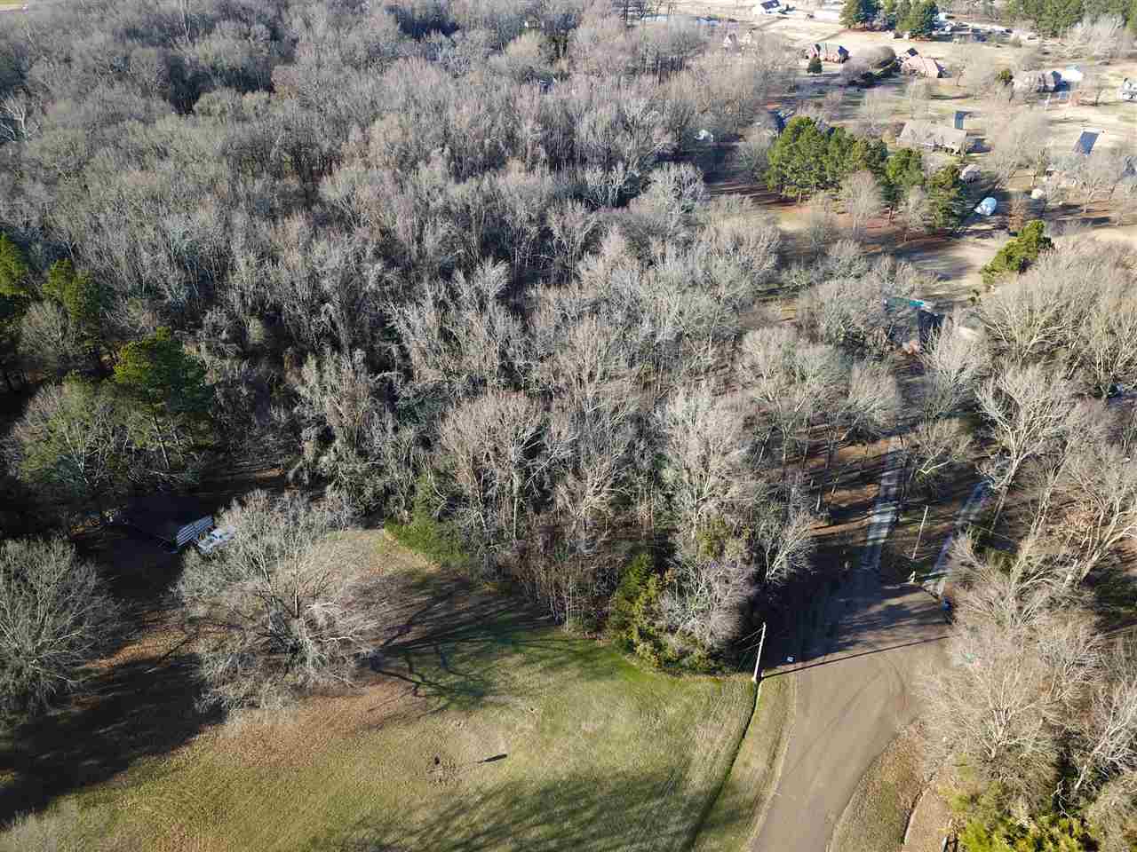 6401 Ricks Field Cove Arlington, TN 38002 - Photo 7 of 12 Gallery Image 7