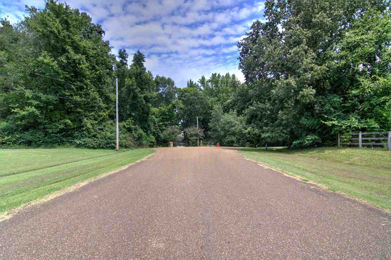 6401 Ricks Field Cove Arlington, TN 38002 - Photo 8 of 12 Gallery Image 8