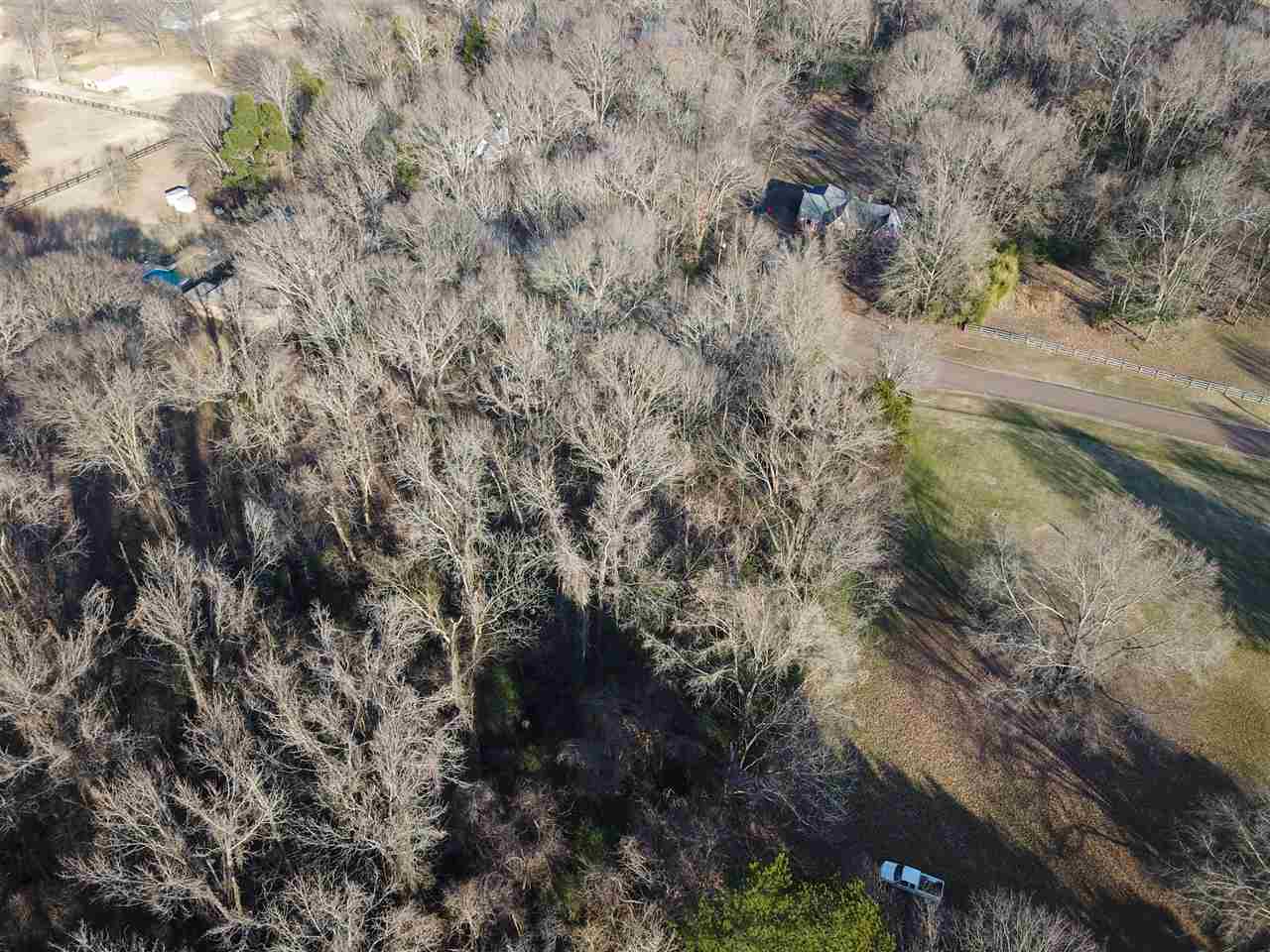 6401 Ricks Field Cove Arlington, TN 38002 - Photo 10 of 12 Gallery Image 10