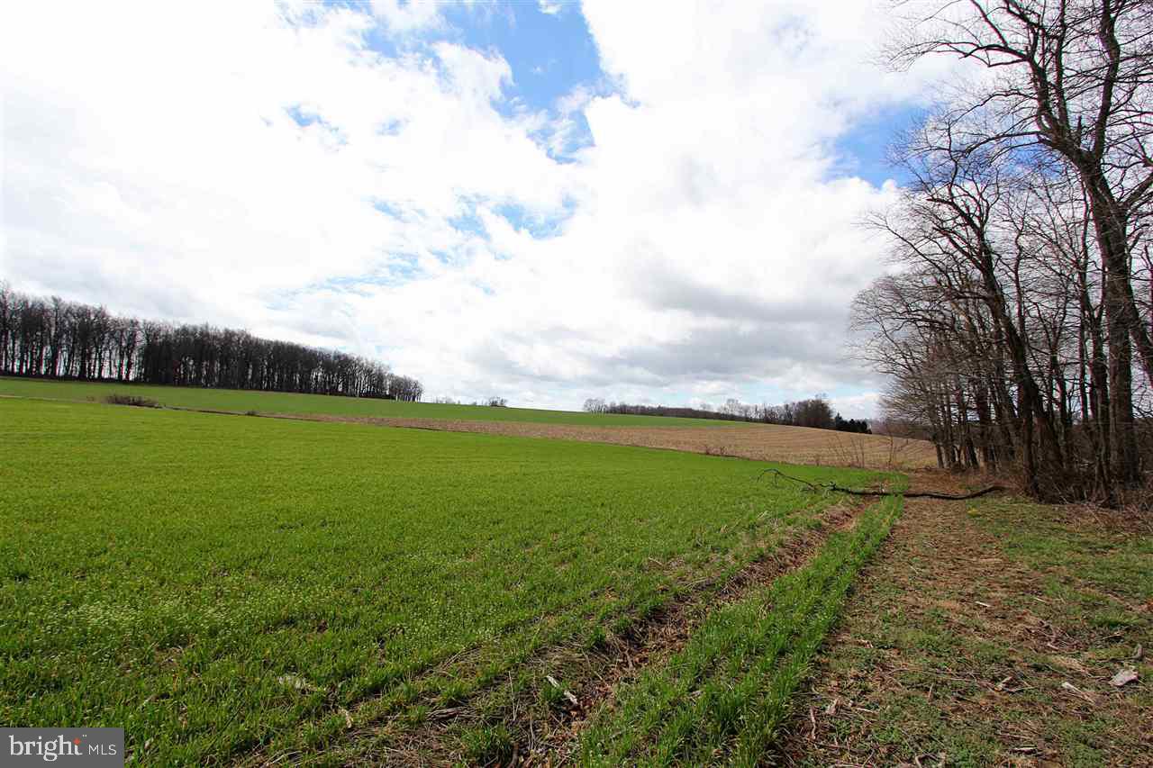 945 Grim Hollow Road Red Lion, PA 17356 - Photo 3 of 30 Gallery Image 3