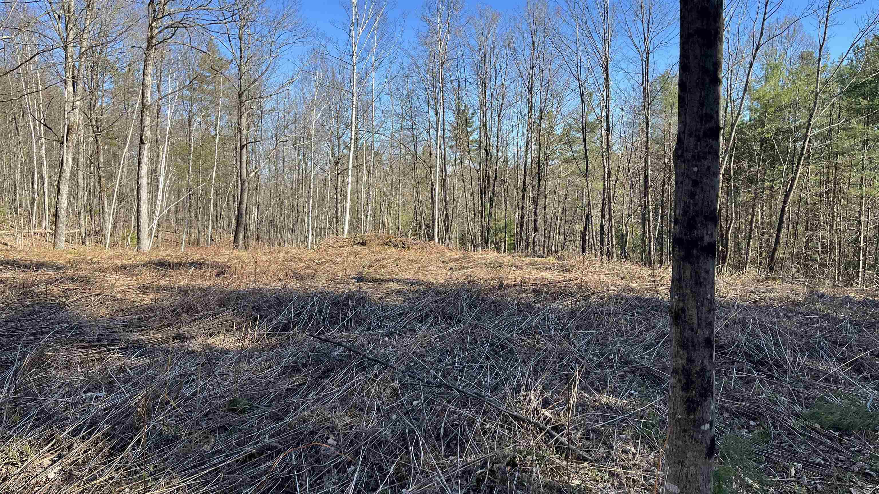 Dix Hill Road, Unit 23 Ludlow, VT 05149 - Photo 20 of 28