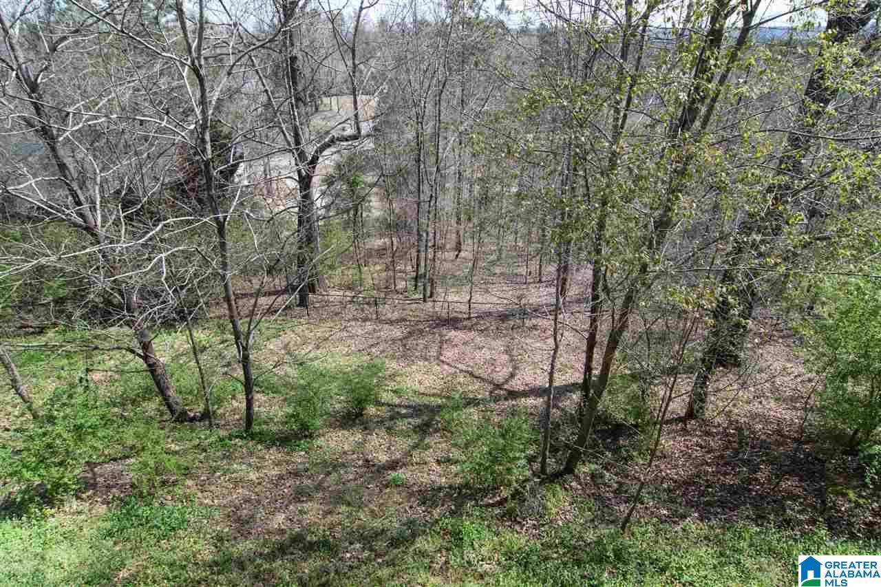 307 Quail Ridge Court Helena, AL 35080 - Photo 37 of 37