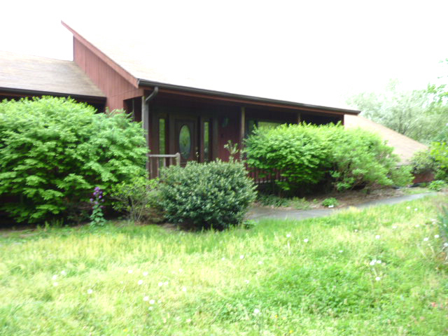 2154 Burkette Road Elliston, VA 24087 - Photo 1 of 6 a view of backyard with potted plants and a large tree