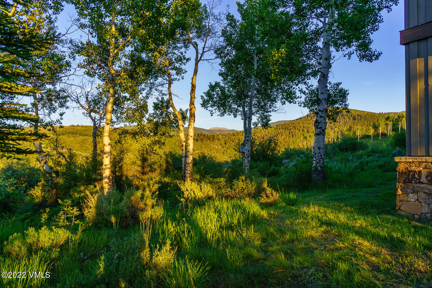 210 Aspen Meadows Road Edwards, CO 81632 - Photo 11 of 67 backyard
