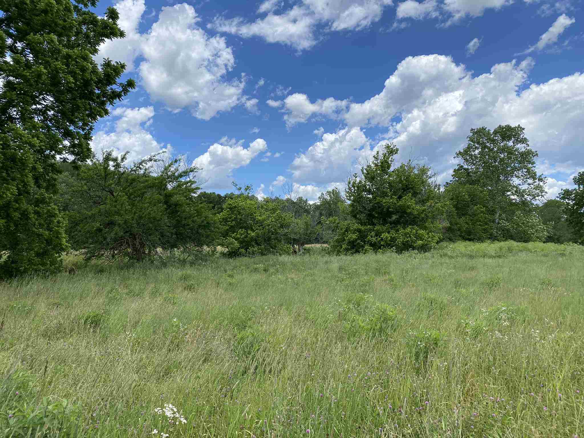 Tbd White Road Spencer, IN 47460 - Photo 1 of 14