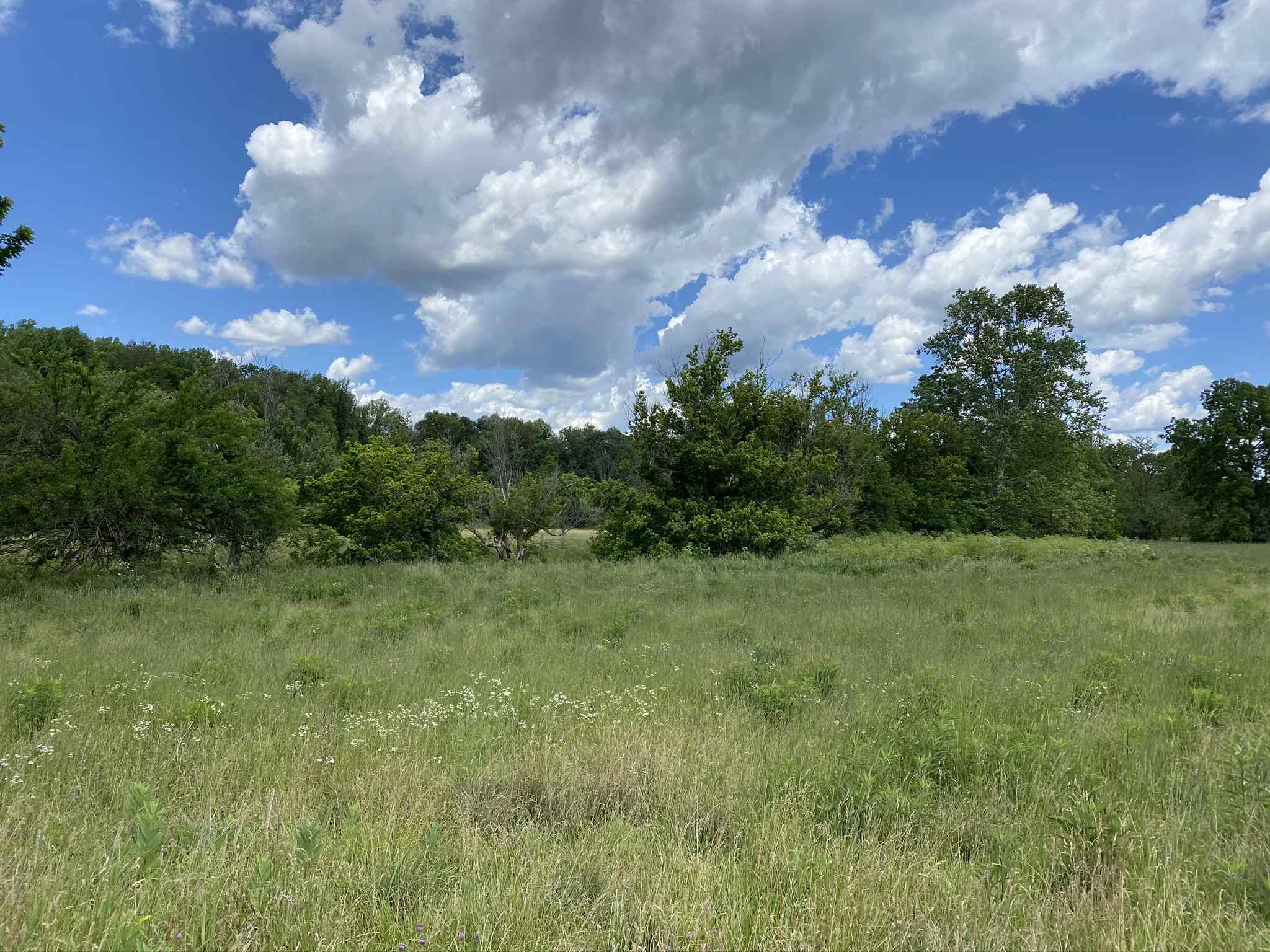 Tbd White Road Spencer, IN 47460 - Photo 14 of 14