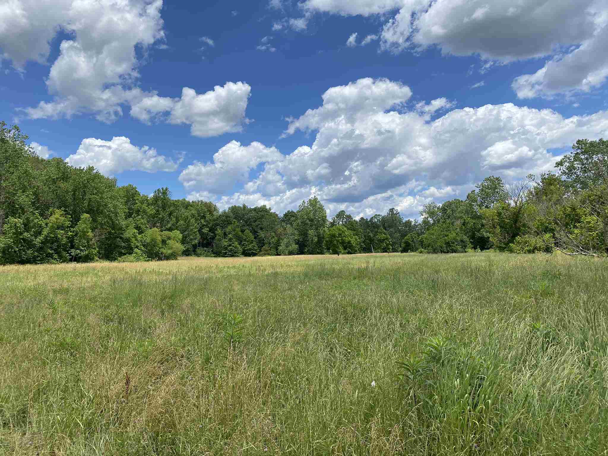 Tbd White Road Spencer, IN 47460 - Photo 10 of 14