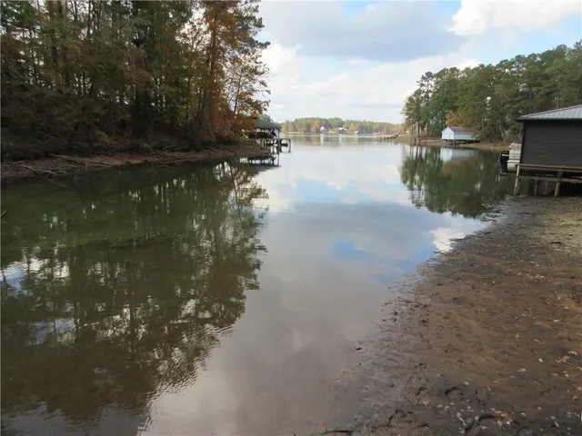 a view of a yard with plants