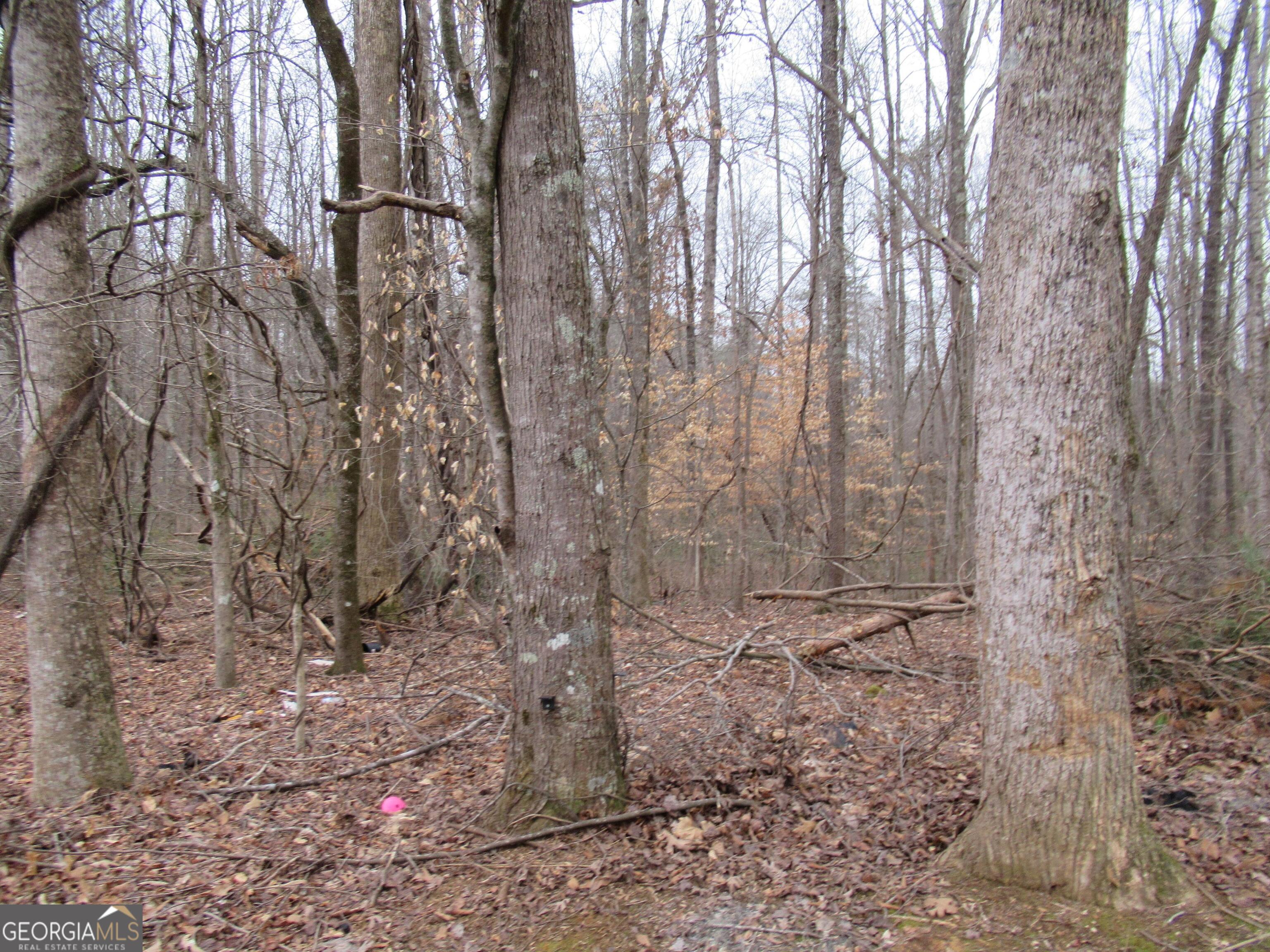 63 B Live Oak Road Dahlonega, GA 30533 - Photo 30 of 34