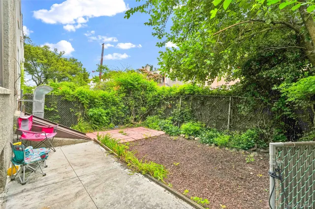 a view of street with tall trees