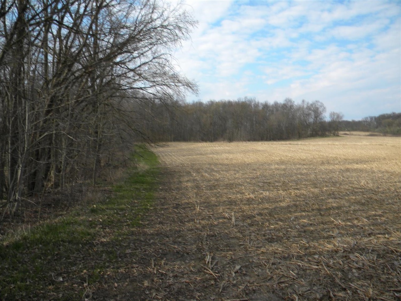 0 Saline Waterworks Road Manchester, MI 48158 - Photo 1 of 5