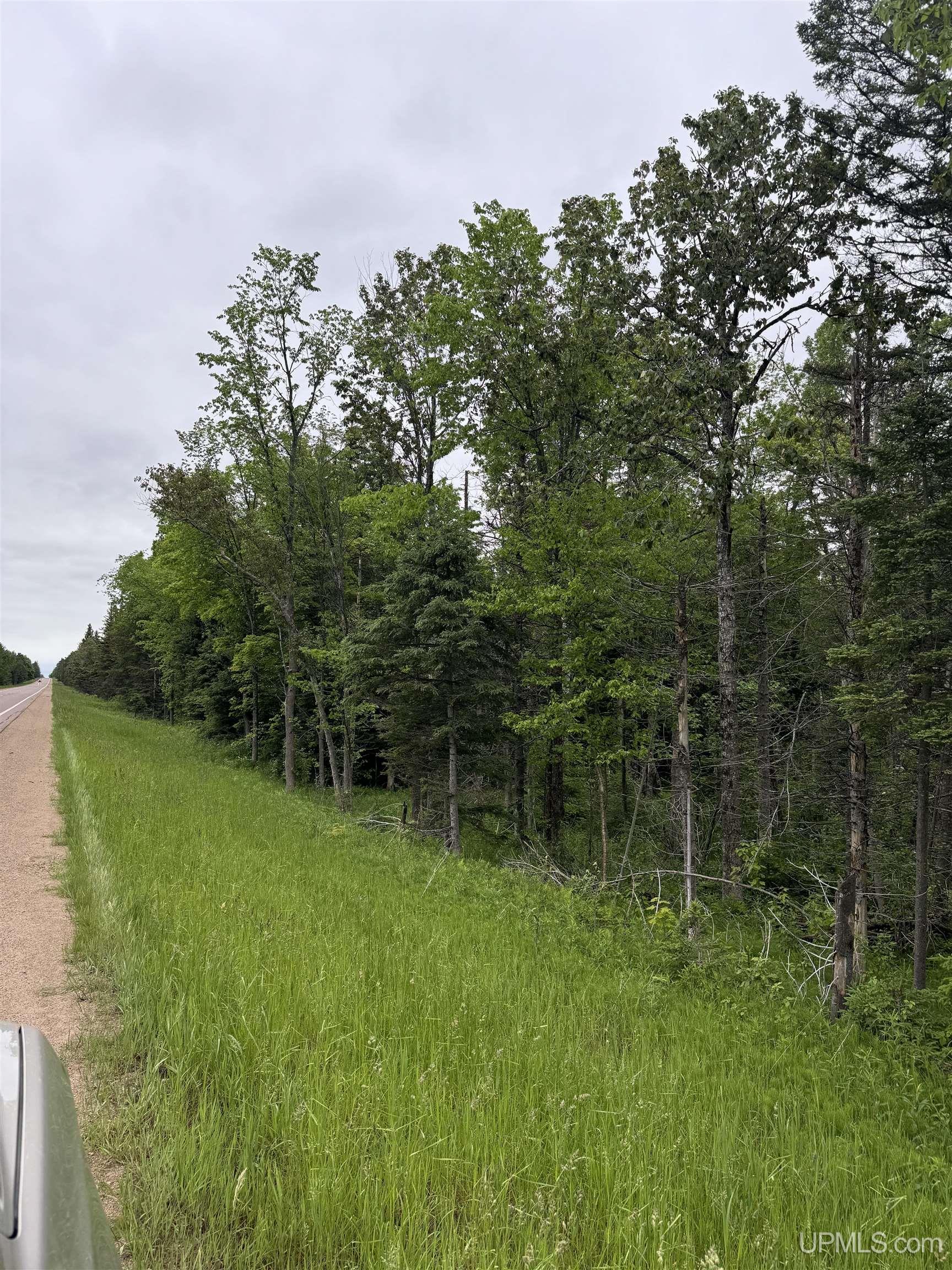 M67 Rd Trenary Mi 49816 Road Chatham, MI 49816 - Photo 8 of 12