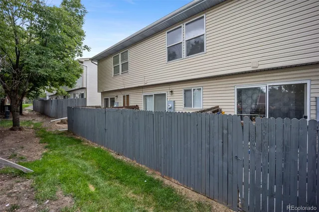 a view of backyard with potted plants and a large tree