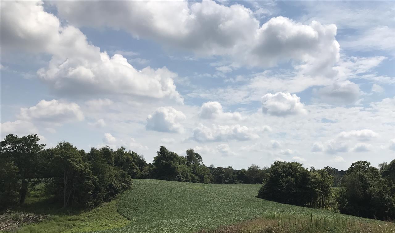 688 Stoney Point Church Road Smiths Grove, KY 42171 - Photo 4 of 13 Gallery Image 4