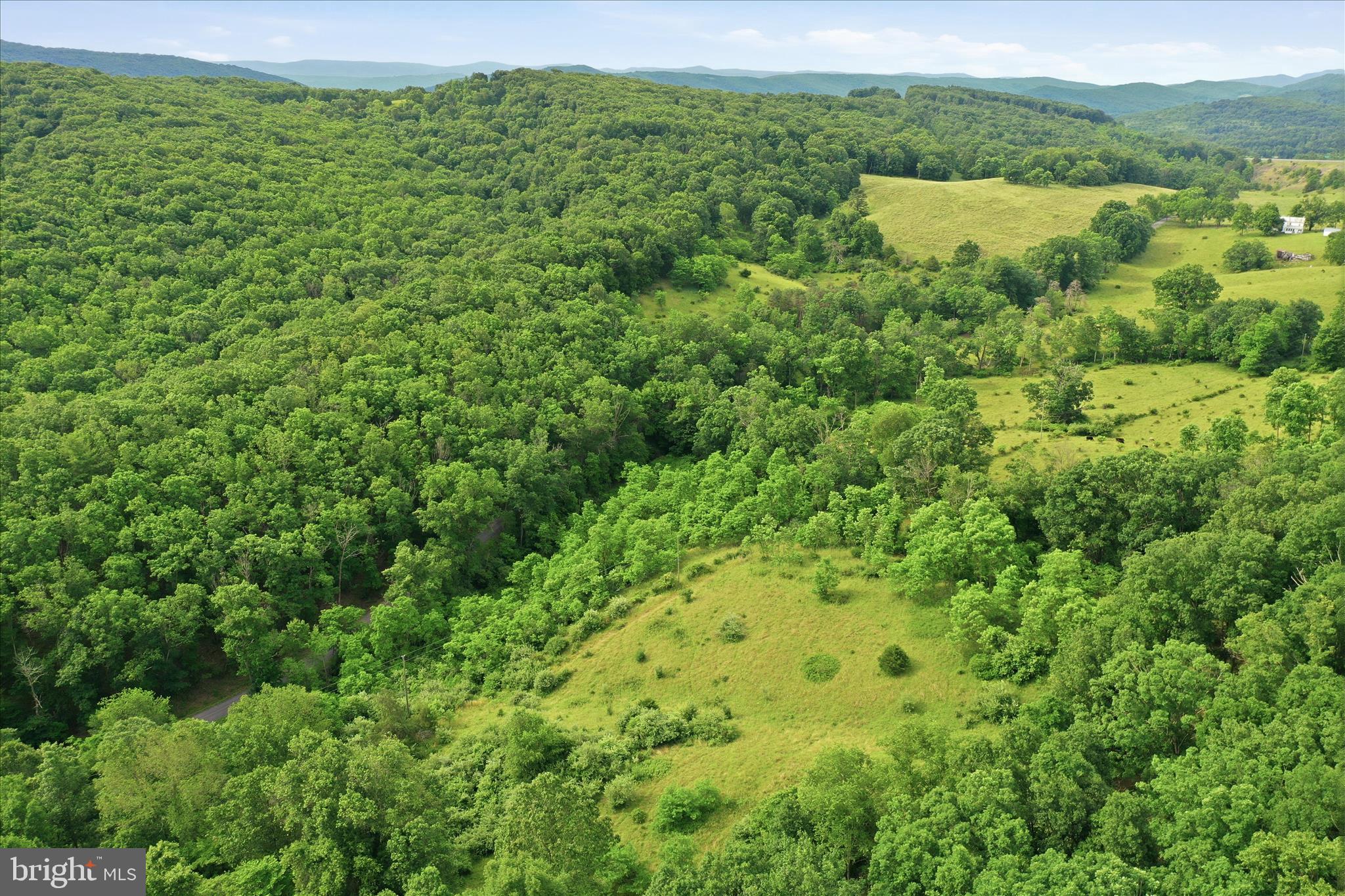 11.95-ac Luxemburg Road Baker, WV 26801 - Photo 20 of 23