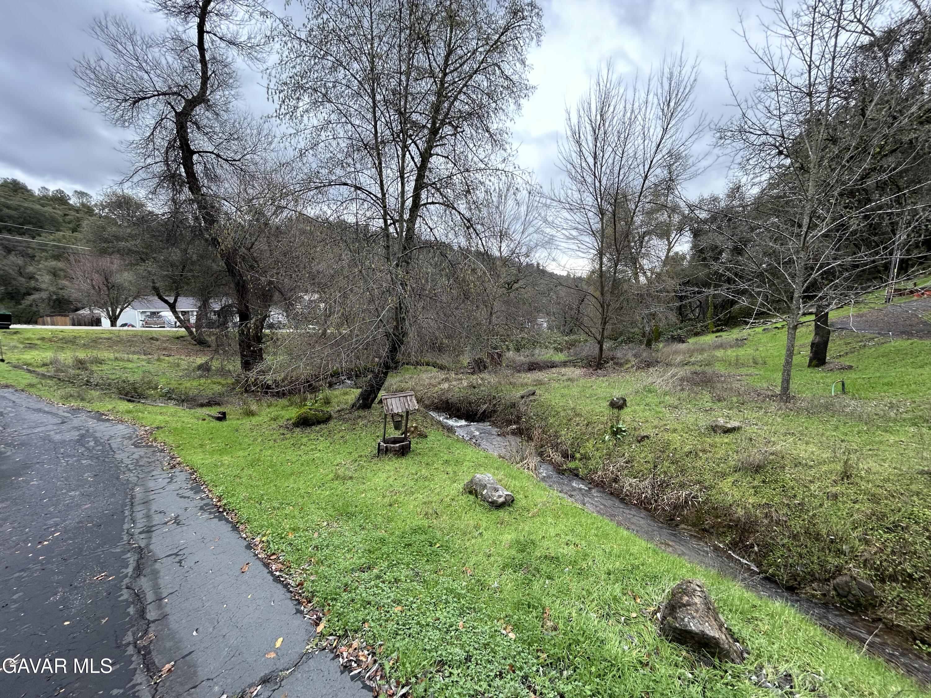a view of a park with large trees