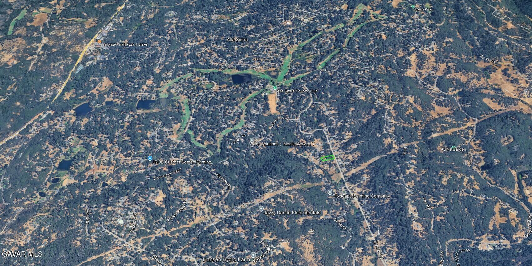 15788 Brewer Road Grass Valley, CA 95949 - Photo 11 of 13 a view of forest