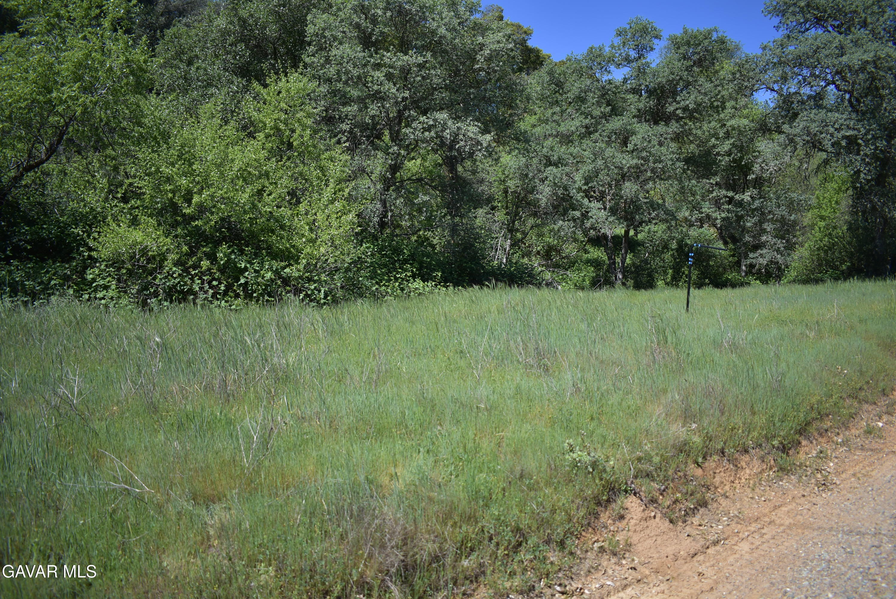 15788 Brewer Road Grass Valley, CA 95949 - Photo 15 of 18