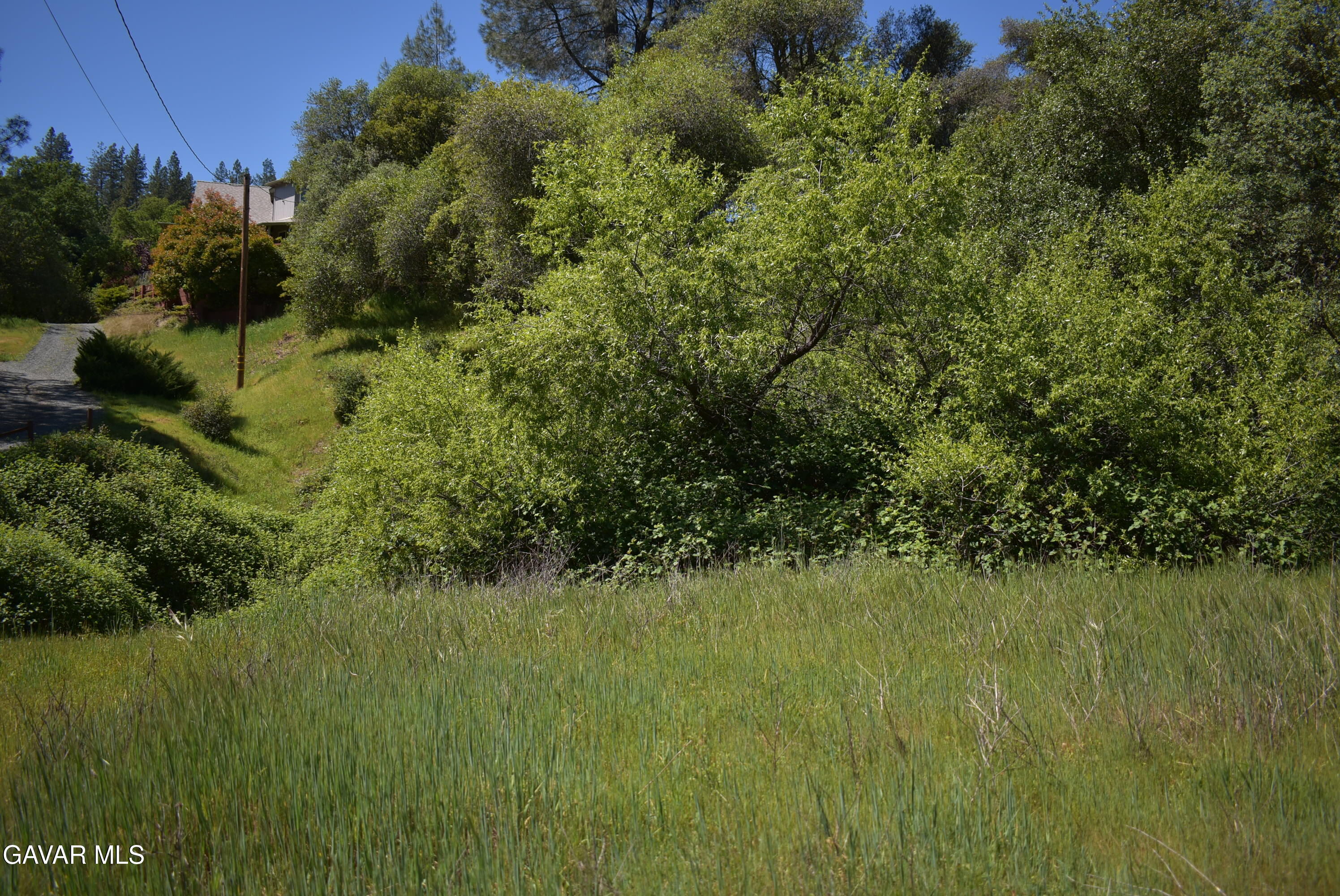 15788 Brewer Road Grass Valley, CA 95949 - Photo 17 of 18 a view of a garden