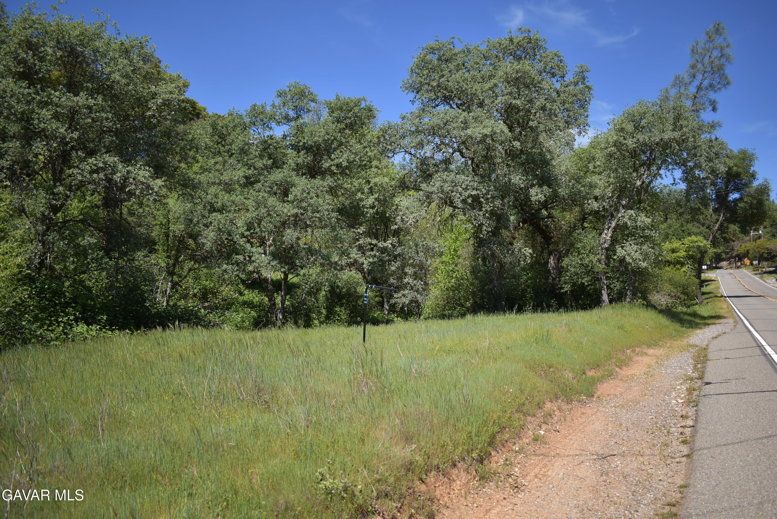 15788 Brewer Road Grass Valley, CA 95949 - Photo 18 of 18 a view of a grassy area