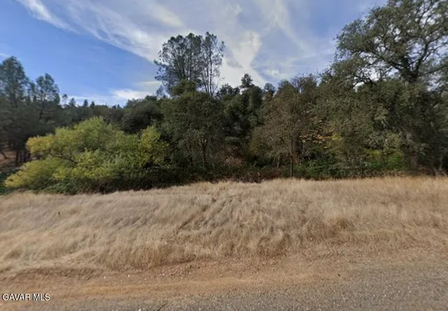a view of a dry yard with trees in the background