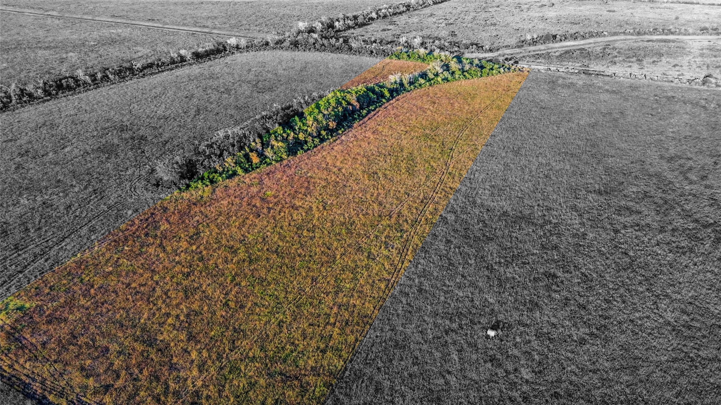0 County Road 212 Angleton, TX 77515 - Photo 4 of 8 a view of a garden with an outdoor space