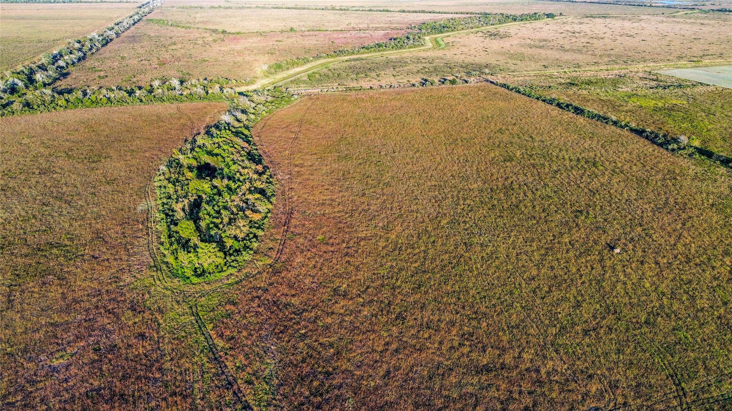 0 County Road 212 Angleton, TX 77515 - Photo 5 of 8 a view of a lake with a beach