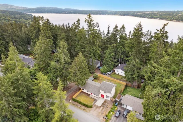 view of a city with lush green forest
