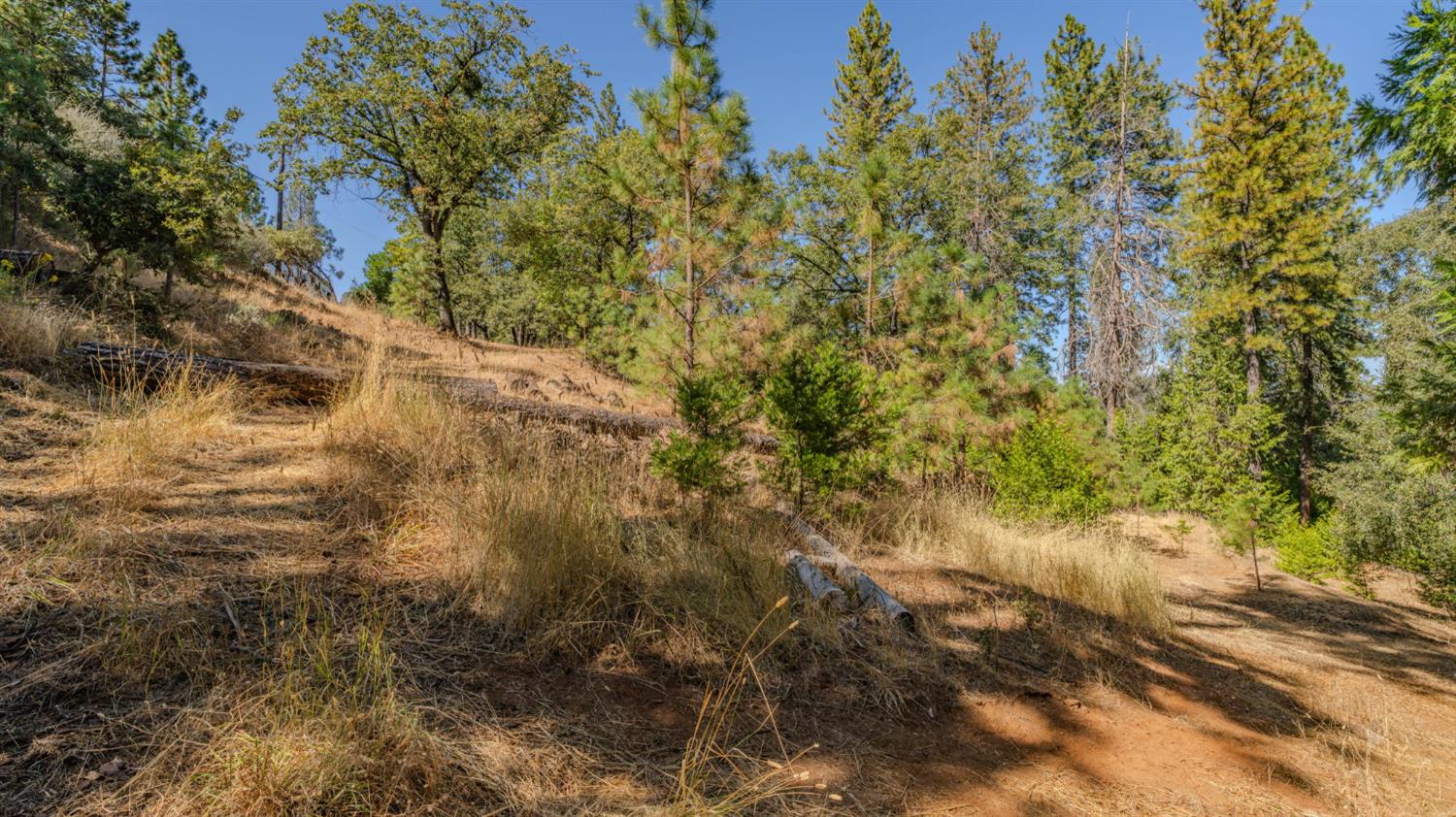 11456 Gold Strike Road Pine Grove, CA 95665 - Photo 9 of 24 Gallery Image 9