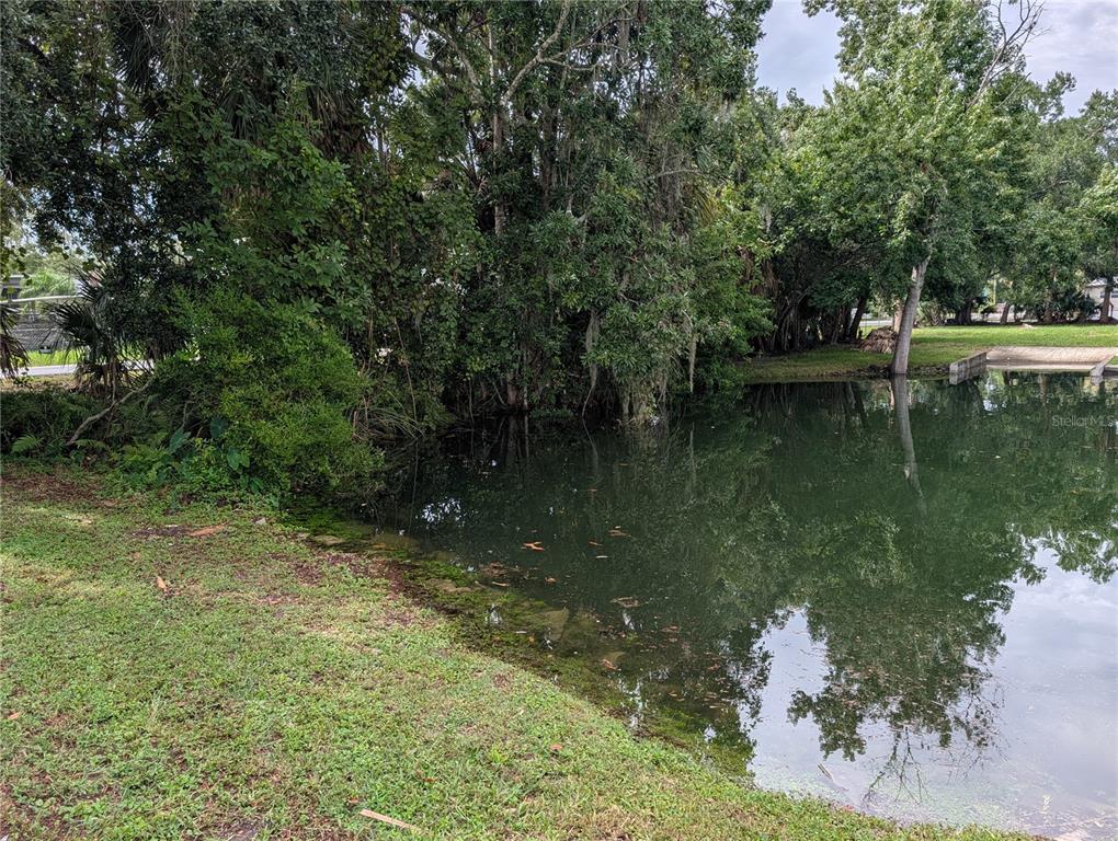 Sebring Street Weeki Wachee, FL 34607 - Photo 2 of 9 Gallery Image 2
