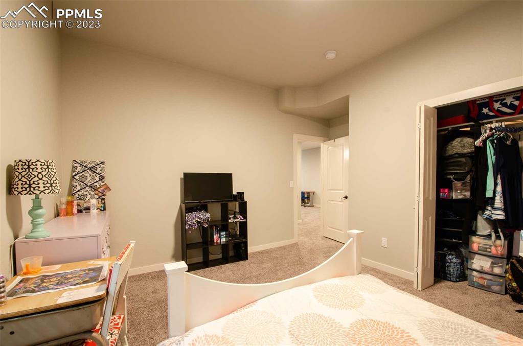 16750 Rabbit Track Trail Colorado Springs, CO 80930 - Photo 35 of 50 a bedroom with a bed and a television