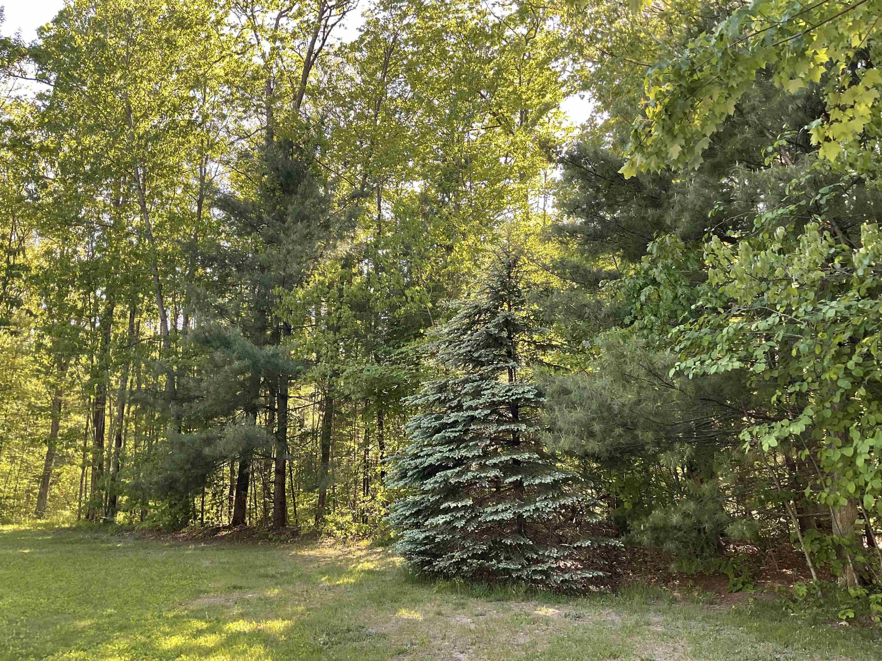 3300 East Arnold Lake Road Harrison, MI 48625 - Photo 90 of 90 1947481-da829dcd-50e0-4153-b1bc-61f9b3bc3181.JPG