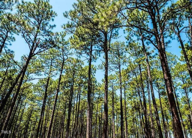 $125,000 | 0 Boone Circle, Sanford, NC 27330