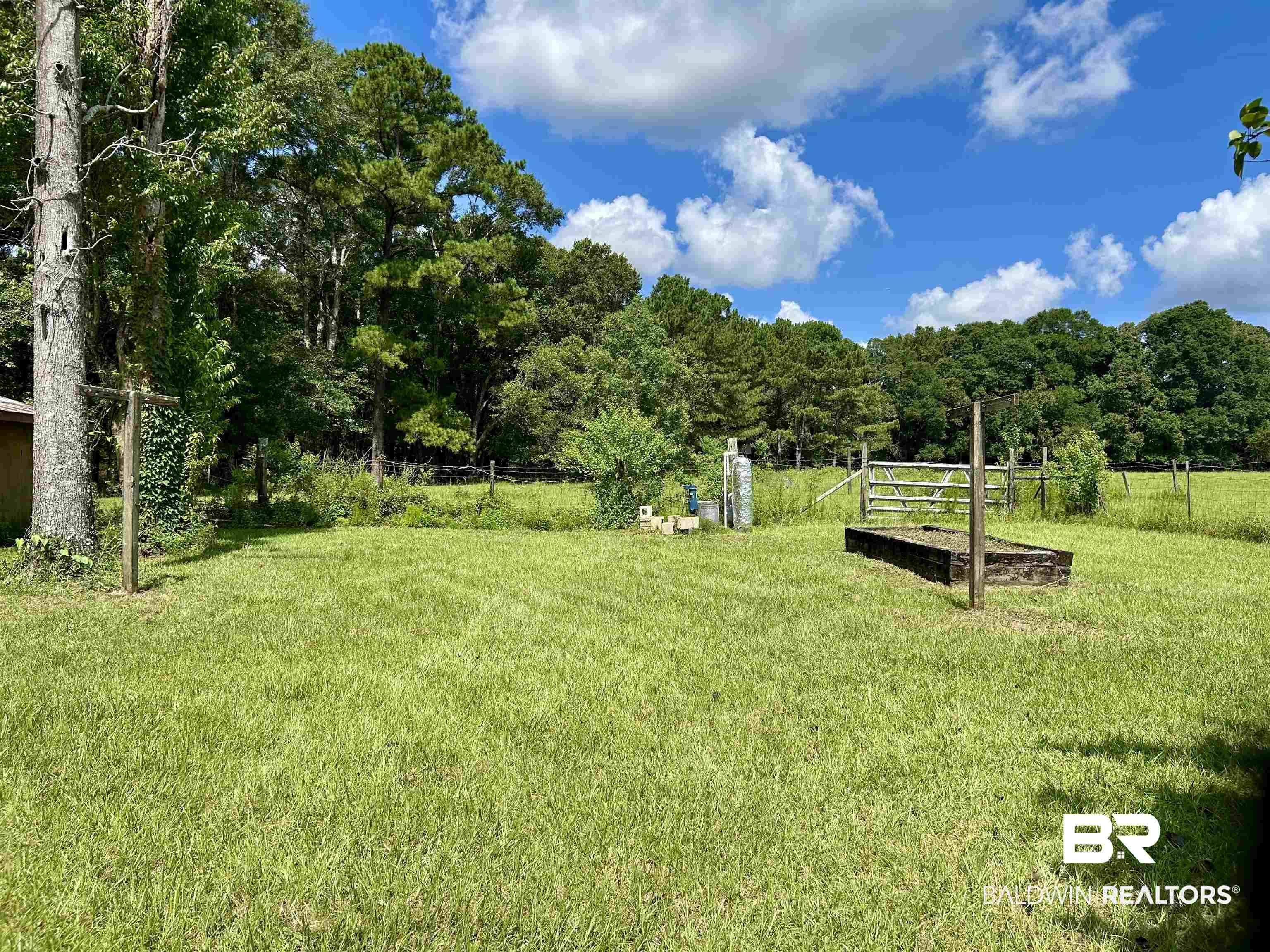 1350 A Schillinger Road South Mobile, AL 36695 - Photo 14 of 18 View of yard featuring a forest view