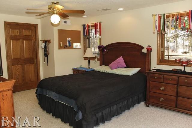 6100 East Road Clinton, IL 61727 - Photo 13 of 29