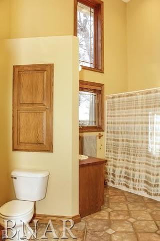 6100 East Road Clinton, IL 61727 - Photo 15 of 29