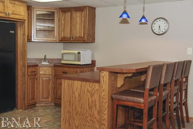 6100 East Road Clinton, IL 61727 - Photo 17 of 29