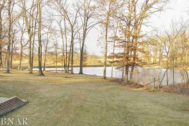 6100 East Road Clinton, IL 61727 - Photo 22 of 29