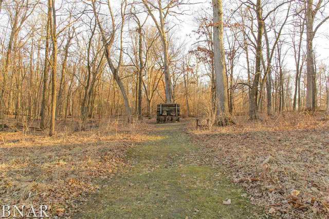 6100 East Road Clinton, IL 61727 - Photo 28 of 29